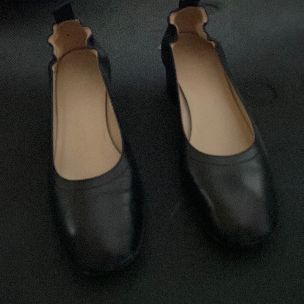 Everlane black pumps